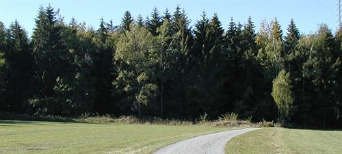 Hotel Am Bad-Wald Bad Liebenzell Ngoại thất bức ảnh