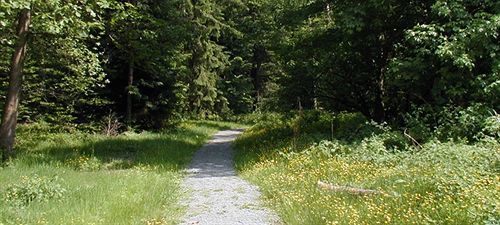 Hotel Am Bad-Wald Bad Liebenzell Ngoại thất bức ảnh